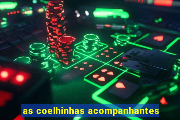 as coelhinhas acompanhantes